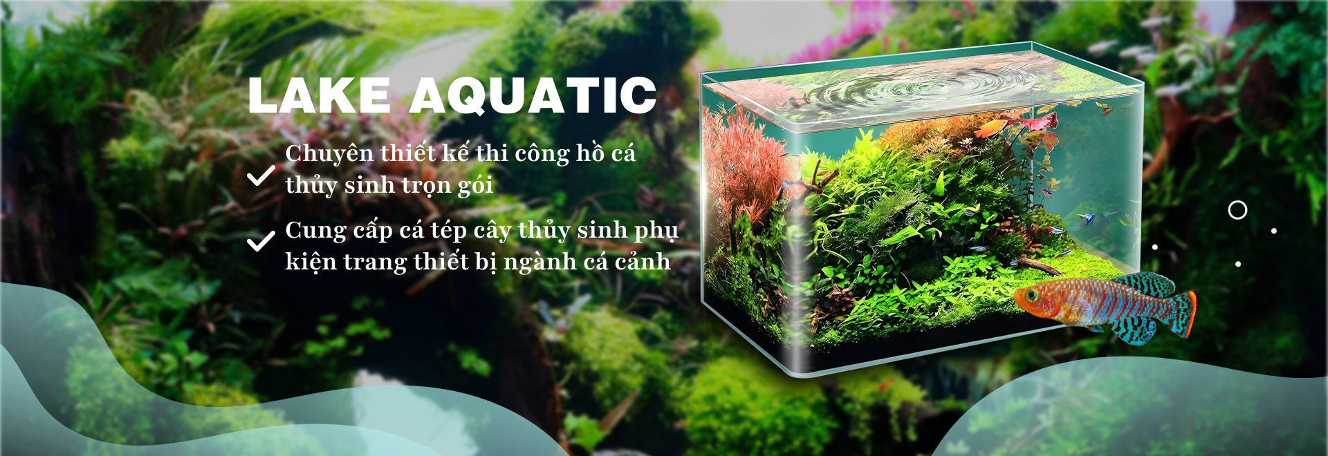 Lake Aquatic 