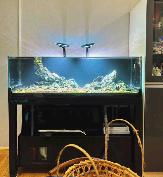 Lake Aquatic 
