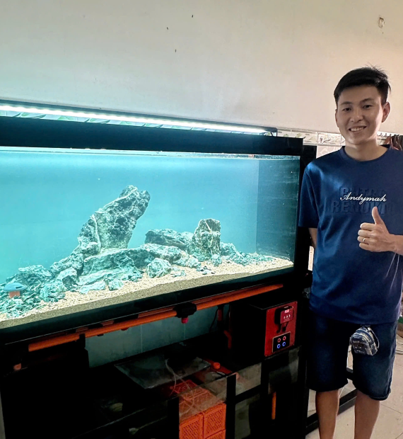 Hồ thủy sinh - thi công bố cục đá nham xanh cho hồ 120x40x50cm tại THỦ DẦU MỘT , HCM