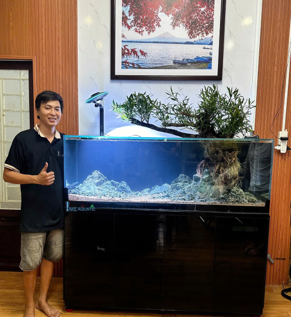 Dự Án Thi Công Hồ Suối Đá Kết Hợp Cây MỊ Nương Cho Hồ Công Nghệ 1M55x55x50cm