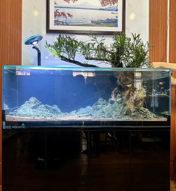 Lake Aquatic 