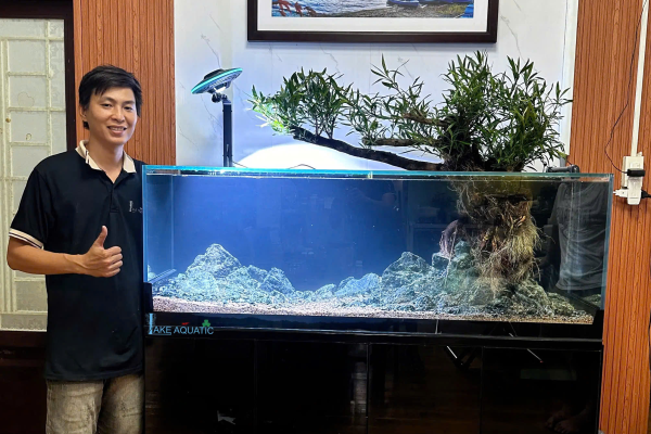 Hồ Công Nghệ Mới Trãi Nền Thiết Kế Bố Cục Suối Đá Kết Hợp Cây Mị Nương Kích Thước Hồ 155x55x50cm