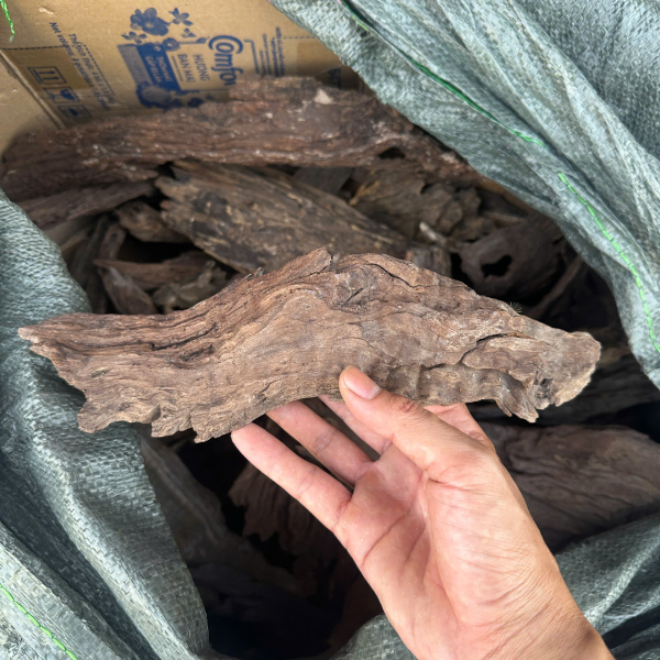 Lũa San Đá Miếng - lũa thủy sinh trang trí hồ cá