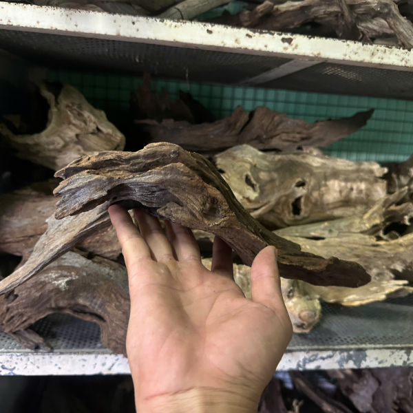 Lũa San Đá Miếng - lũa thủy sinh trang trí hồ cá