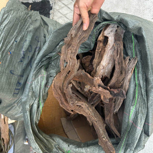 Lũa San Đá Miếng - lũa thủy sinh trang trí hồ cá