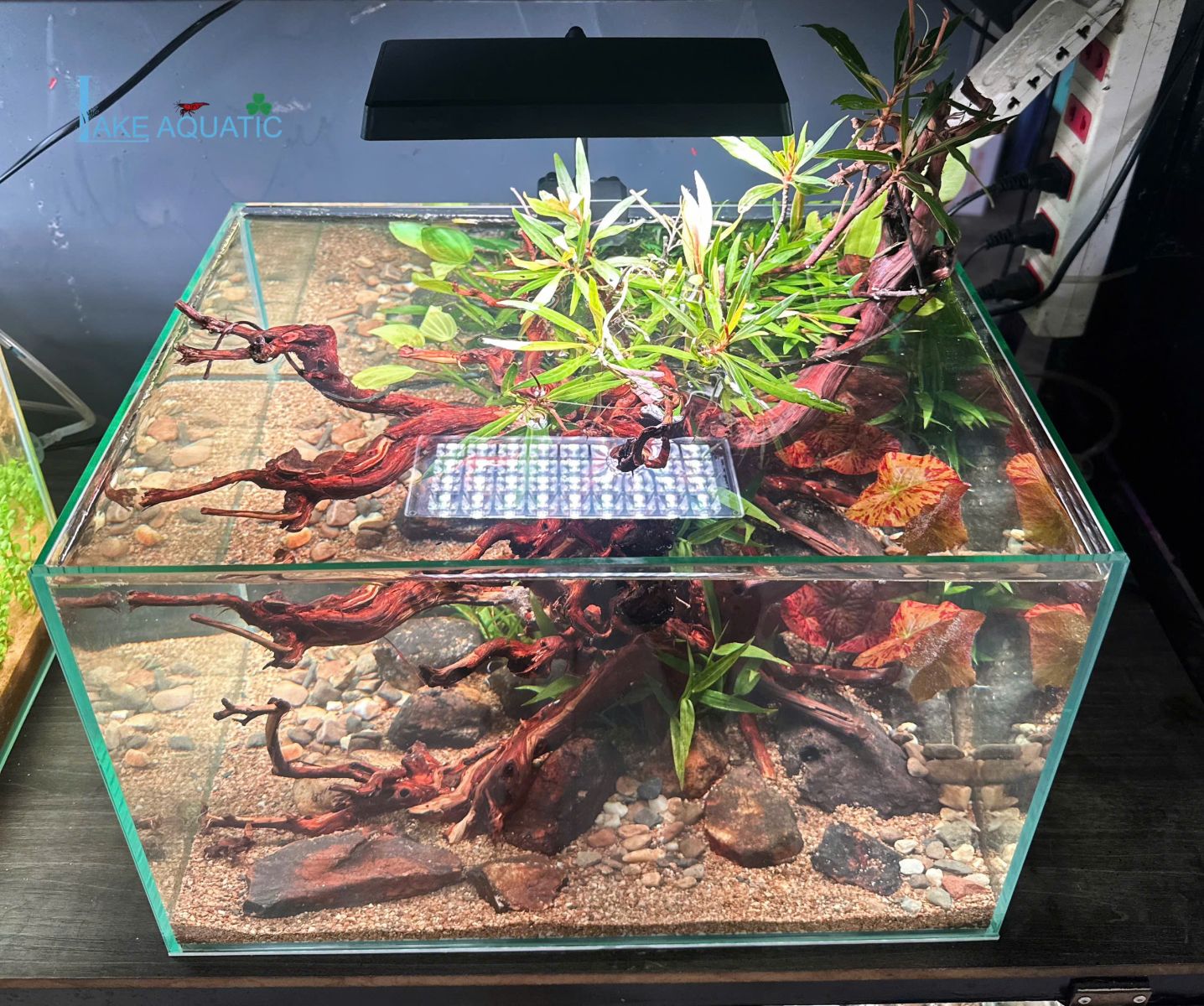 Lake Aquatic - chuyên hồ thủy sinh để bàn