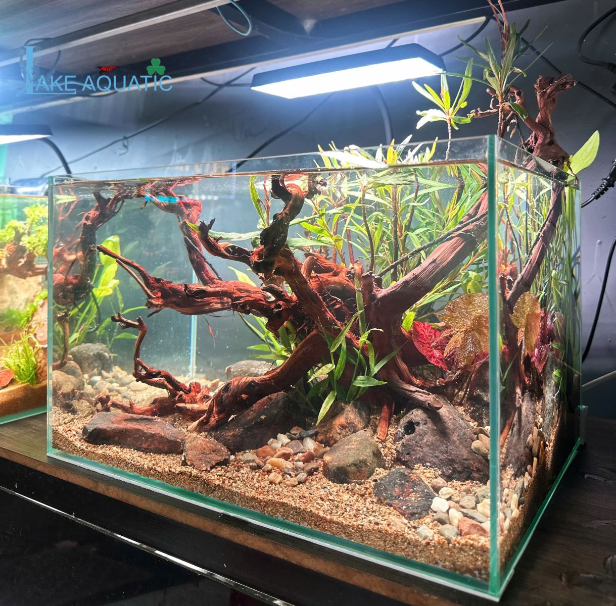 Lake Aquatic - chuyên hồ thủy sinh để bàn